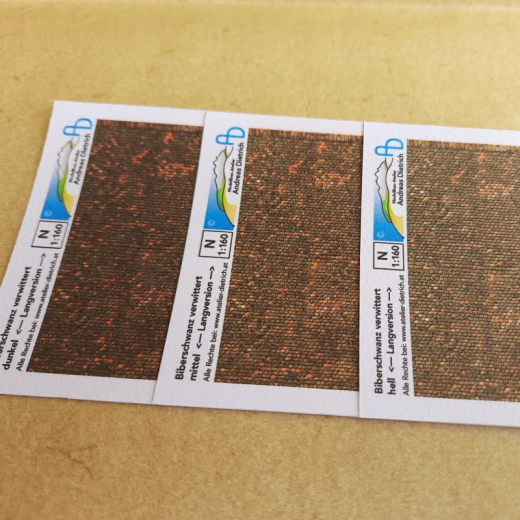 Textur Dach Ziegel (Biberschwanz)